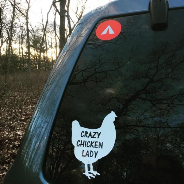 B4B logo decal
