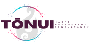  TŌNUI consultancy