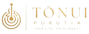  TŌNUI consultancy