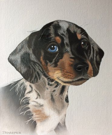 puppy dog pet portrait commission original oil painting