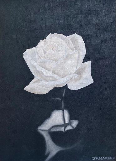 white rose original oil painting on canvas for sale uk black and monochrome unique small artwork