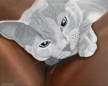 grey cat original oil painting on canvas framed ready to hang cute animal portrait for sale UK small