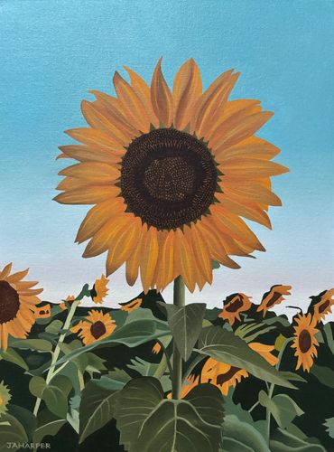 Sunflowers oil painting on canvas for sale UK field yellow blue green artwork original