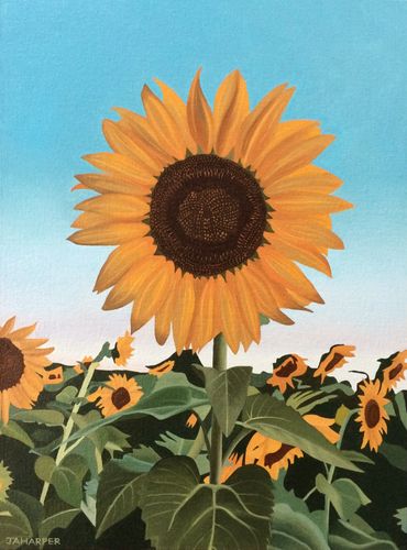 Sunflowers oil painting on canvas for sale UK field yellow blue green artwork original