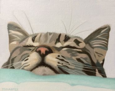 cute grey tabby cat original oil painting on canvas for sale UK sleeping feline animal art