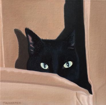 black cat hiding in a cardboard box original oil painting on canvas funny cute for sale UK