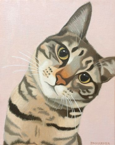 grey tabby cat oil painting on canvas original artwork for sale framed cute funny animals pink brown