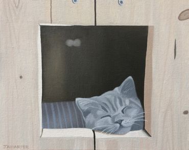 grey cat sleeping oil painting on canvas cute animals small framed ready to hang for sale UK