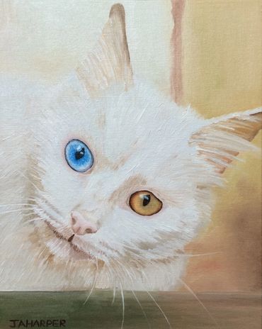cute odd-eyed white cat original oil painting