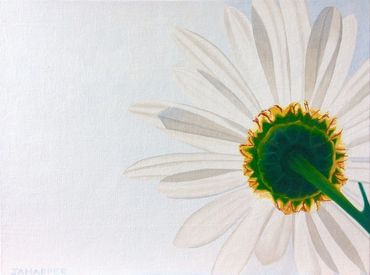 Daisy original oil painting on canvas white artwork single flower minimalist