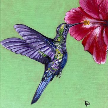 A vibrant hummingbird feeding from a red flower against a green background.