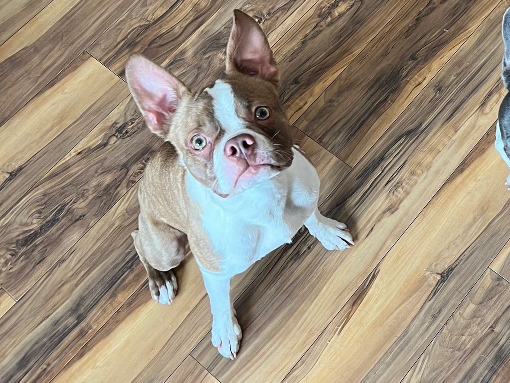 Ruben