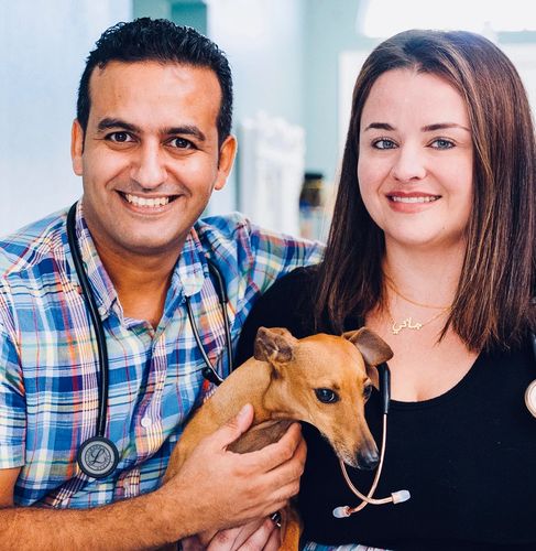 Doctors of good karma veterinary therapy