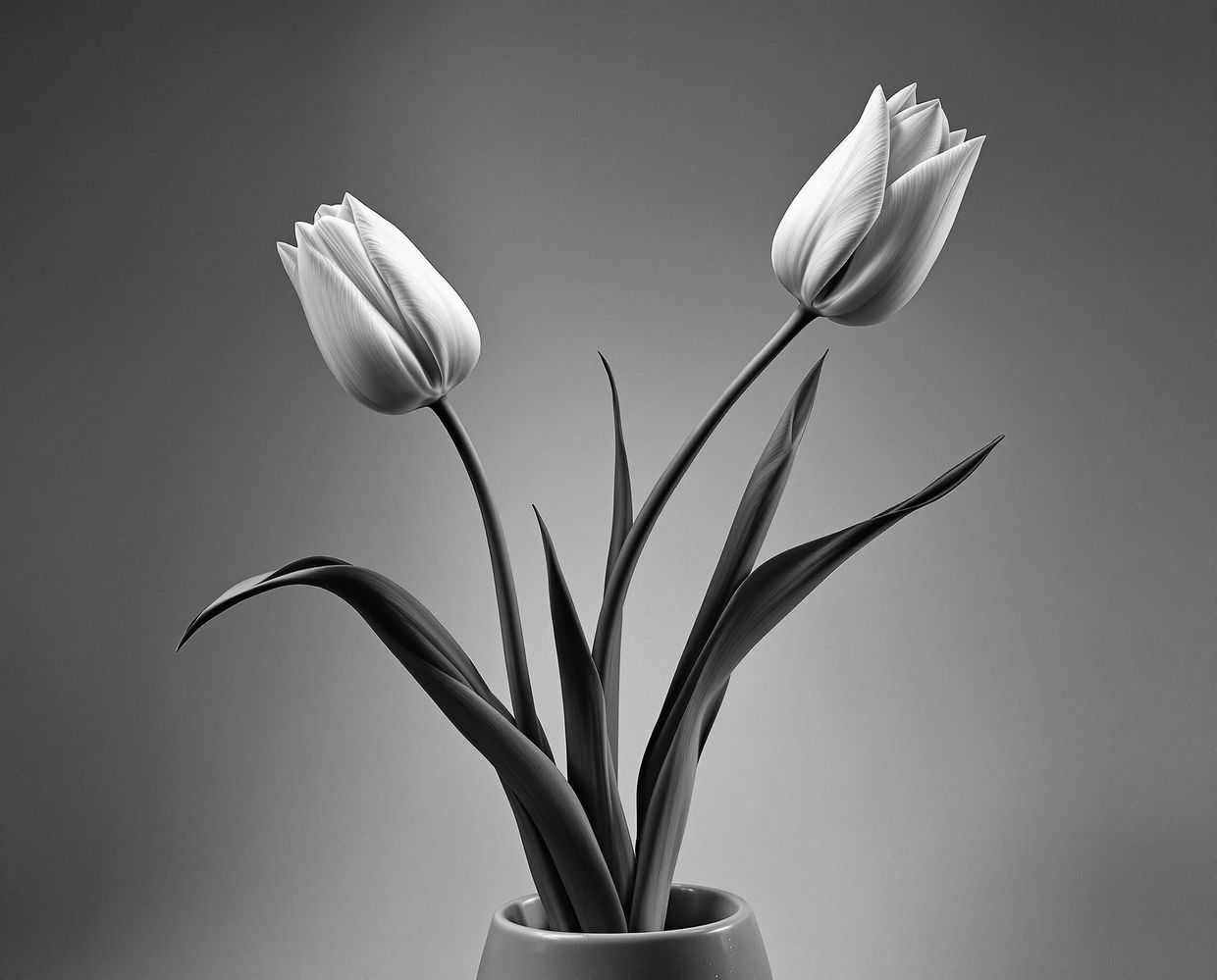 Minimal tulip study, stark and precise — AI-generated synthographic artwork by davidname.