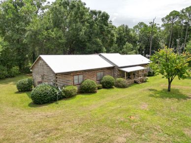 Rustic log cabin surrounded by greenery.