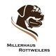 Millerhaus Rottweilers
