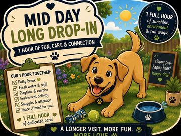 Advertisement for a midday dog care drop-in service with fun and care.