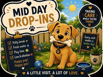 Friendly poster promoting midday drop-ins for dogs.