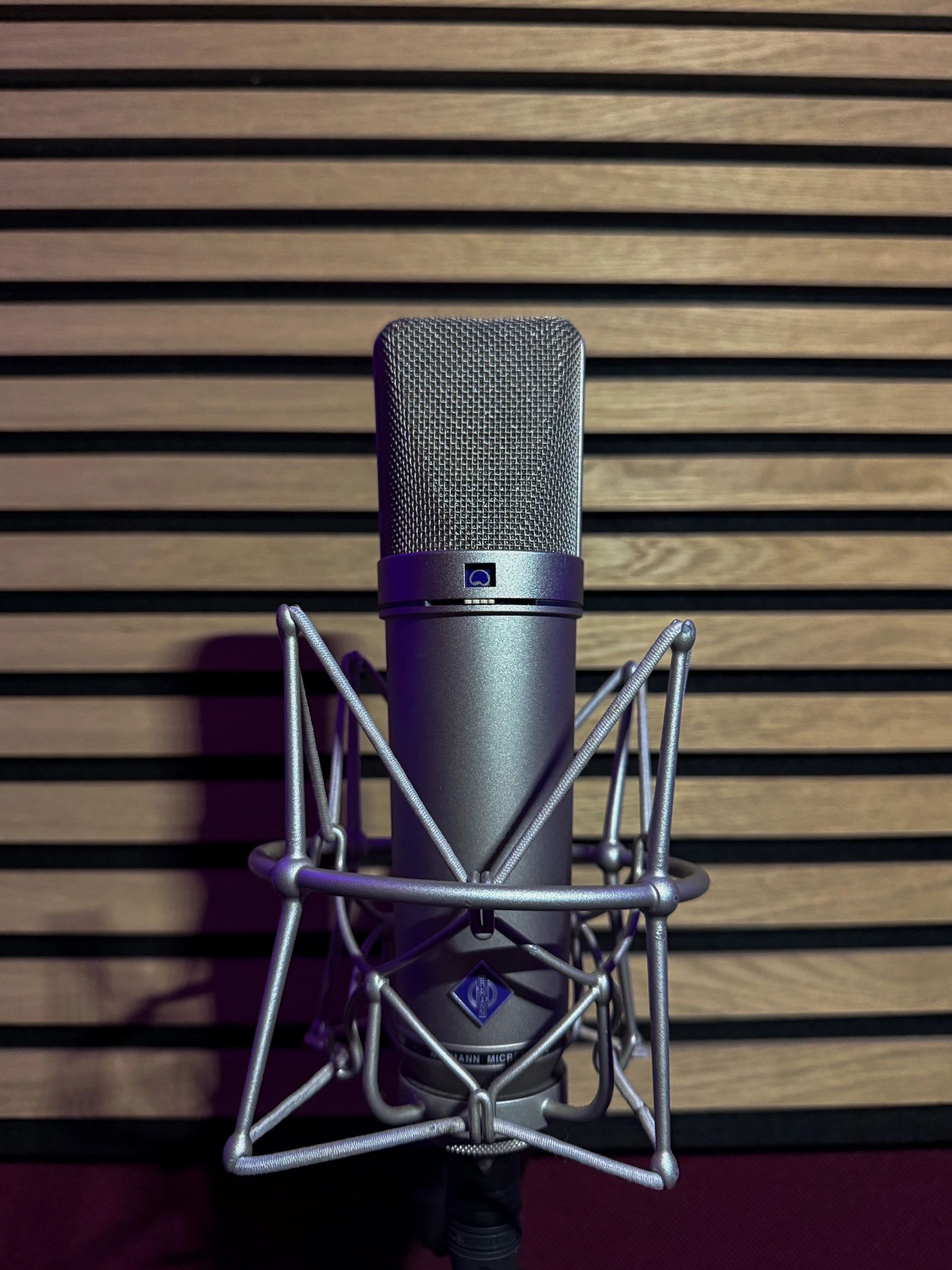 A Neumann U87 AI in front of beige wood diffuser.

