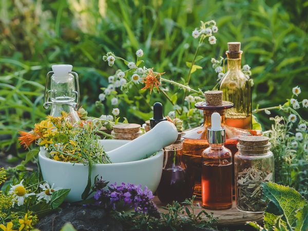 Medicinal herbs and tinctures alternative medicine. Selective focus. Nature.
