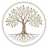 Asch Therapy Group