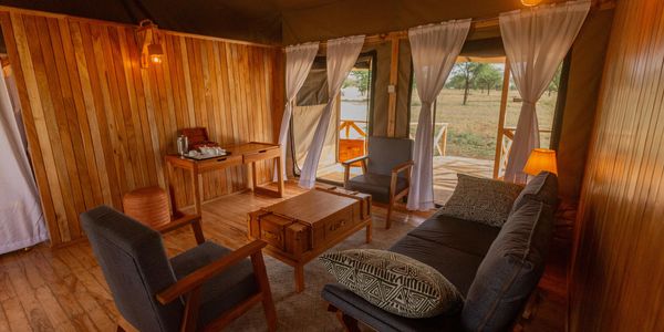 safari view luxury camp serengeti