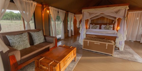 safari tent stays