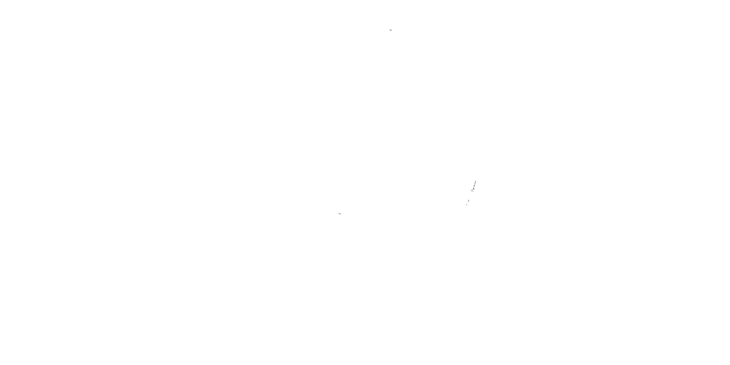 Projects in Development
