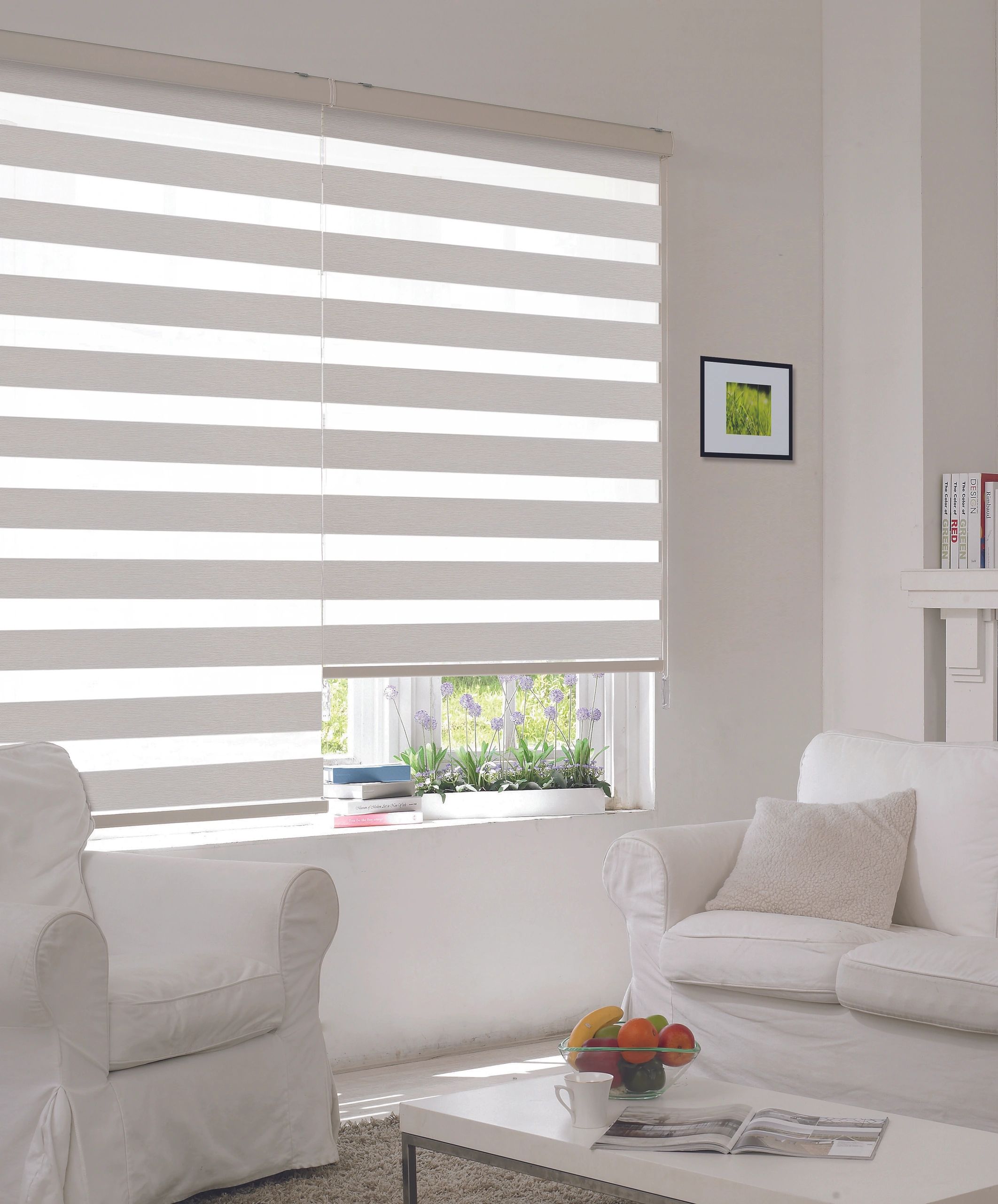 What are the Benefits of Dual Shades/Zebra Blinds?