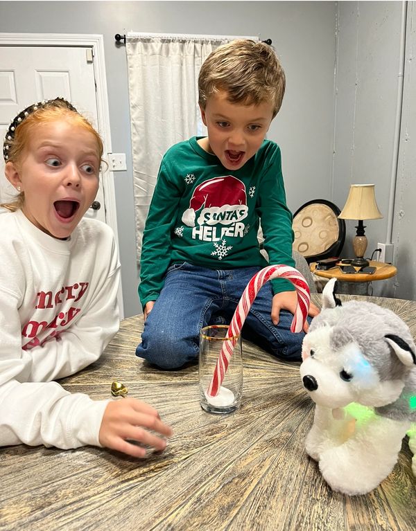 Grow you own candy cane with the help of Herby!