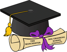  The Manchester Dog Grooming School  