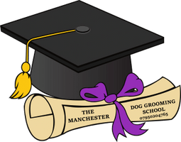  The Manchester Dog Grooming School  