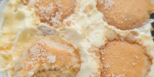 Close-up of a creamy dessert with vanilla wafers and whipped cream.