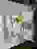 image2414