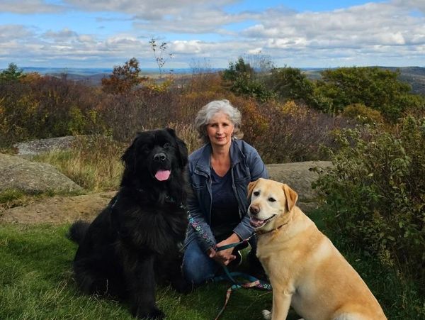 Woman outdoors with two dogs, one black and one yellow.