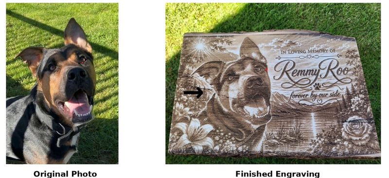 remmy before and after.png
