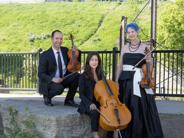 Minneapolis String Trio - The Red Rose Trio, Violin, Viola and Cello