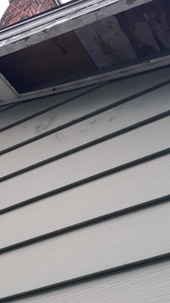 {"blocks":[{"key":"8agbs","text":"Look at the paw prints leading up to the ripped down siding so the raccoon could enter the attic.","type":"unstyled","depth":0,"inlineStyleRanges":[],"entityRanges":[],"data":{}}],"entityMap":{}}