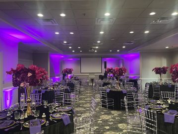 Add a Touch of Elegance with our Uplighting Packages! 
