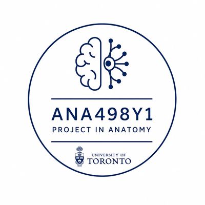 Logo for ANA498Y1 anatomy project at University of Toronto.