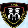 One Force Security