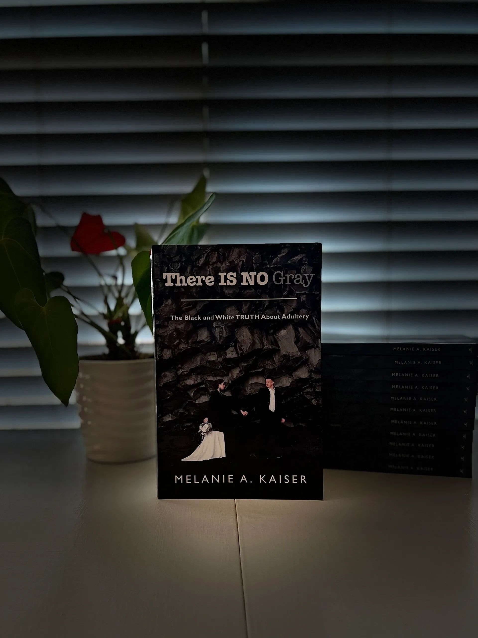 Melanie A. Kaiser Adultery Book, Bible Study, Writer
