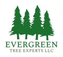 Evergreen Tree Experts LLC