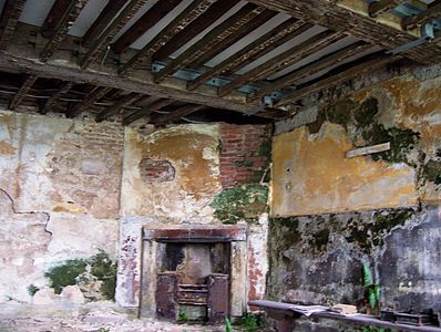 Dilapidated room with peeling walls and exposed ceiling beams.
