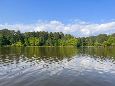 Calm lake with forest and blue sky.