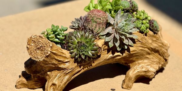 Driftwood rustic arrangement