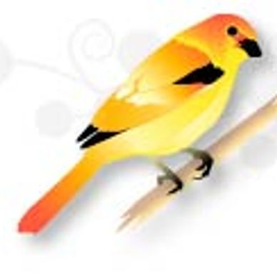 Yellow bird drawn in Adobe Illustrator