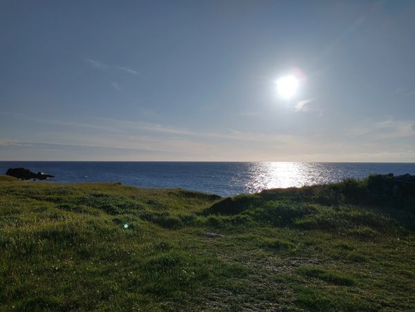 grass in the foreground, sea, sun shining brightly in the sky