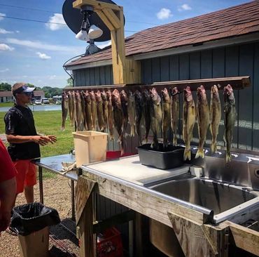 Lake Erie Walleye on BushWhacker Fishing Charters