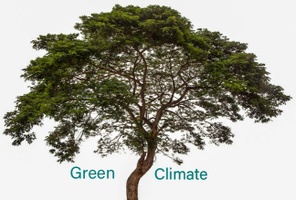 Green Climate